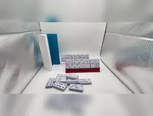 Dominoes Storage with Internal Rack Holds 28 Double Six Dominoes, magnetic lids