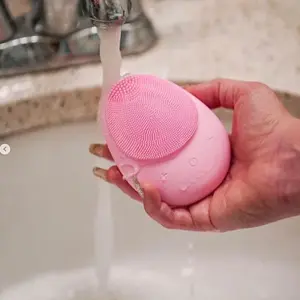 CE ROHS Electric Facial Cleansing Brush Electronic Exfoliating Washing Face Brush Massager for Deep Cleansing