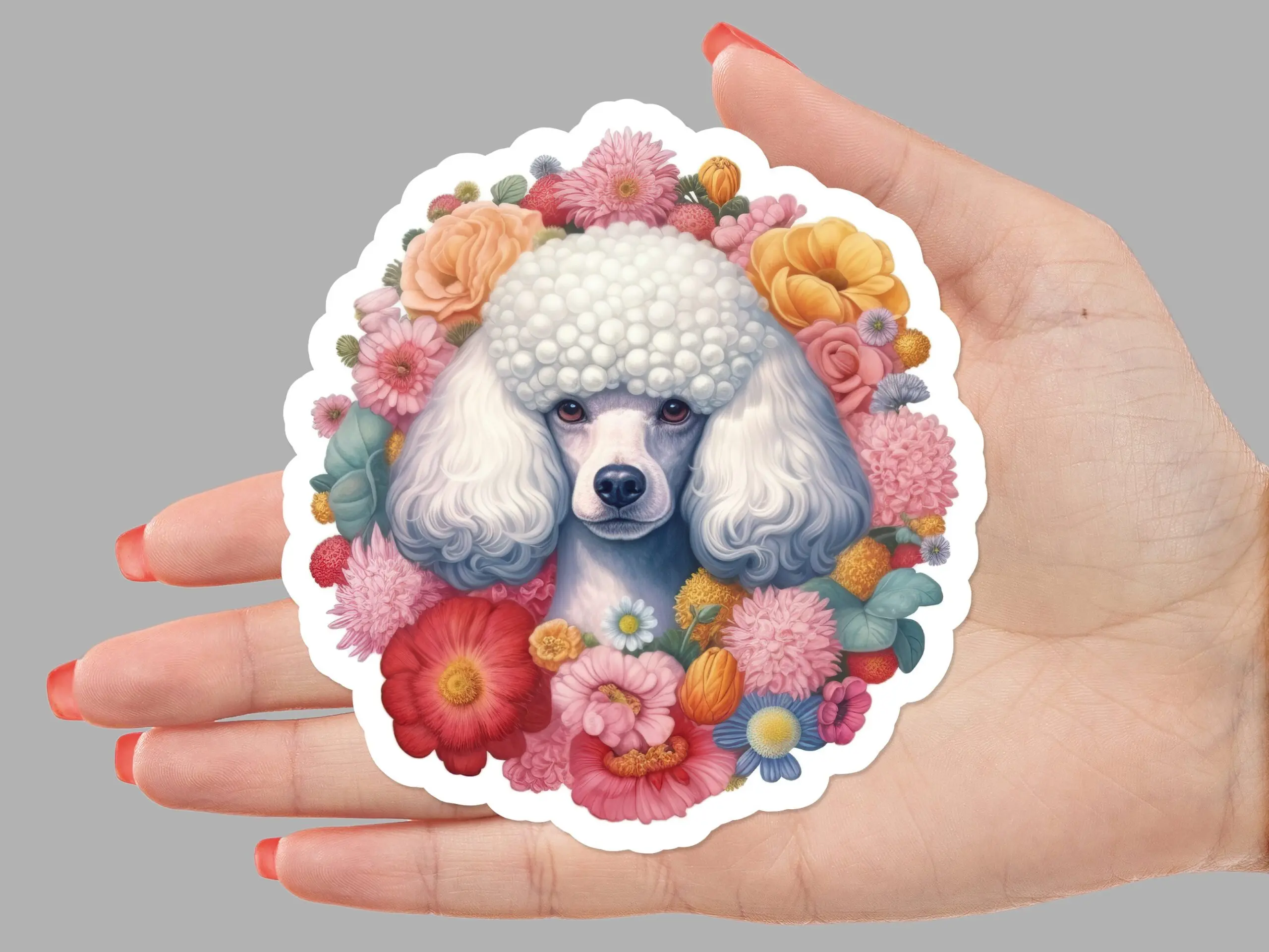 White Poodle Dog Sticker