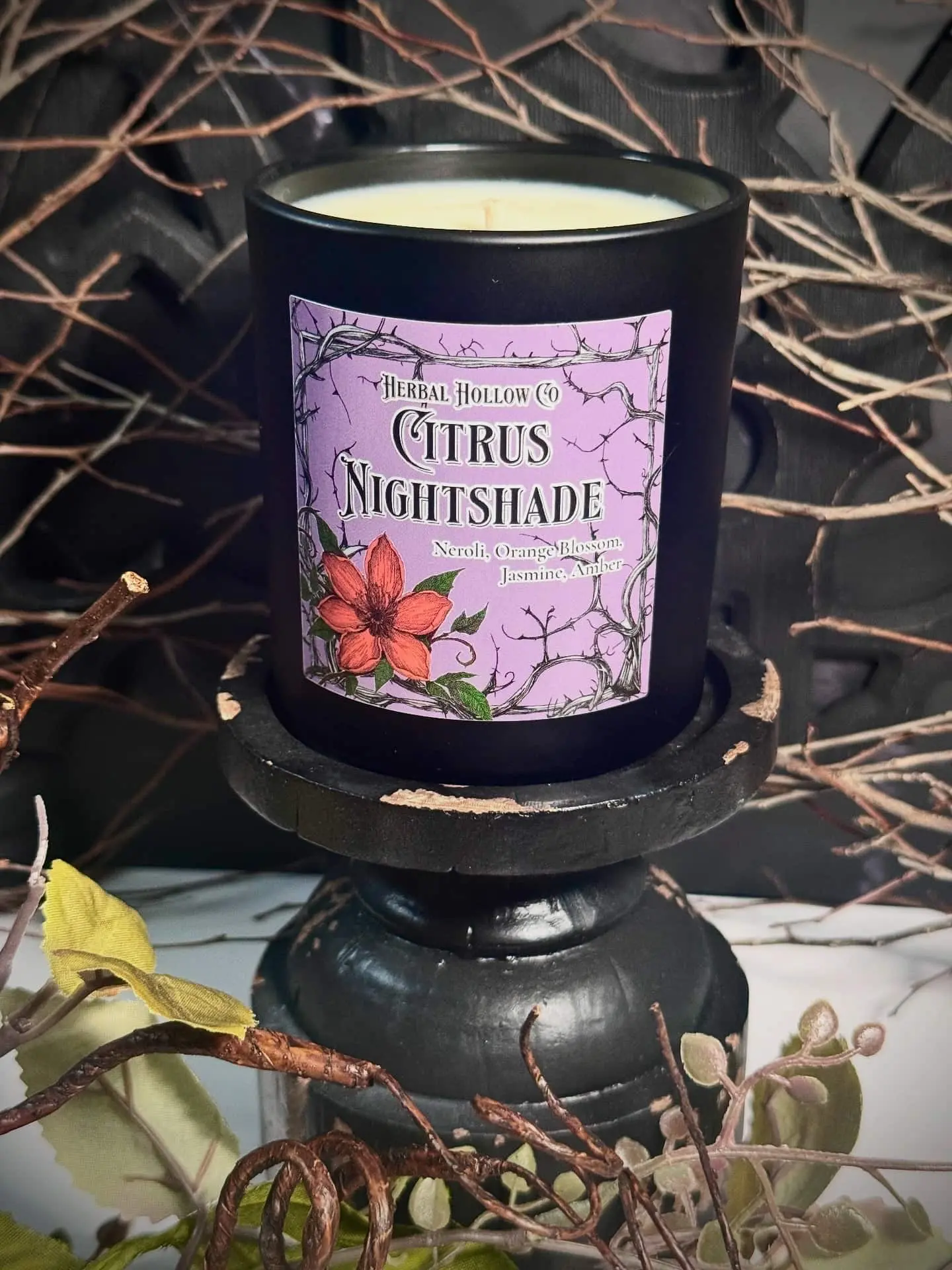 Citrus Nightshade Candle Decor Fragrance with Luminous Bergamot & Smooth Sandalwood Scent for Gothic Inspired Home Decoration Herbal Hollow Co. Scented Candle