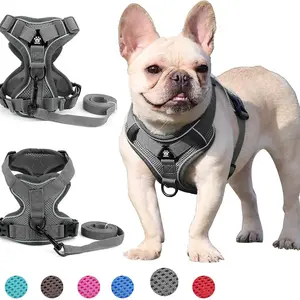 Adjustable Dog Harness Set, Breathable Mesh Reflective Anti-Pull Pet Vest for Small Medium Large Dogs, Outdoor Walking Night Safety