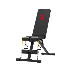 Adjustable Dumbbell Workout Bench with Resistance Bands for Versatile Home Gym Training