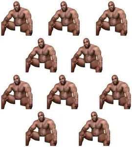 10 count Funny Barry  Light  Sticker Decals,  Vinyl Prank Joking Wall Stickers for Living Room, , Laptop , Skateboard, Computer, Tumblers, Phone, Bumper (10Pcs)