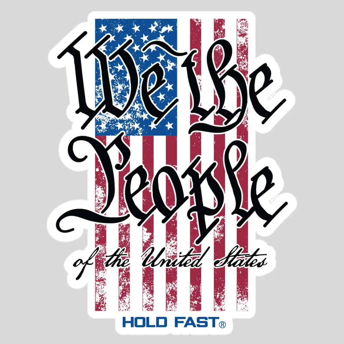 HOLD FAST American 3.5" x 2.5" Vinyl We The People Flag Stickers for Bikes, DIY Scrapbooking & Stamping