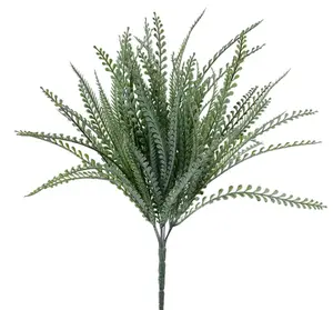 19"L Button Fern Bush x 7