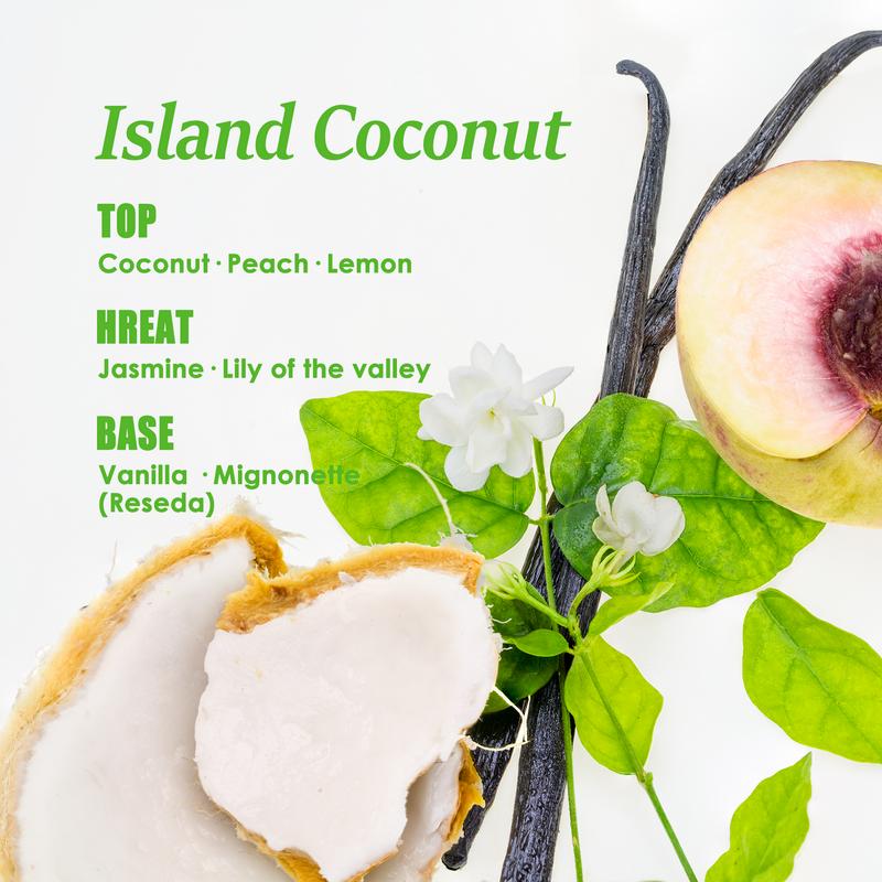 Mop Soap Variety Bundle (3-Pack, 96 fl oz Total) – 3 x 32oz Bottles – Includes Brazilian Breeze, Island Coconut, & Pacific Linen – Multi-Surface Concentrated Cleaning Solution - Deodorizing Floor Cleaner