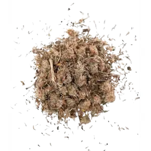 Arnica Tea - Dried Flowers of Arnica Montana for Pain Relief & Swelling Support - US Product - May Aid in Bruises & Promote Blood Circulation - Soothing Properties for Inflammatory Conditions