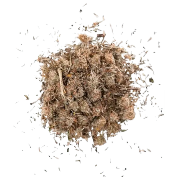Arnica Tea - Dried Flowers of Arnica Montana for Pain Relief & Swelling Support - US Product - May Aid in Bruises & Promote Blood Circulation - Soothing Properties for Inflammatory Conditions