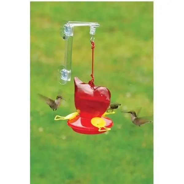 Window Red Bird Hummingbird Feeder Window Red Bird Hummingbird Feeder