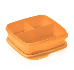 Lunch Container