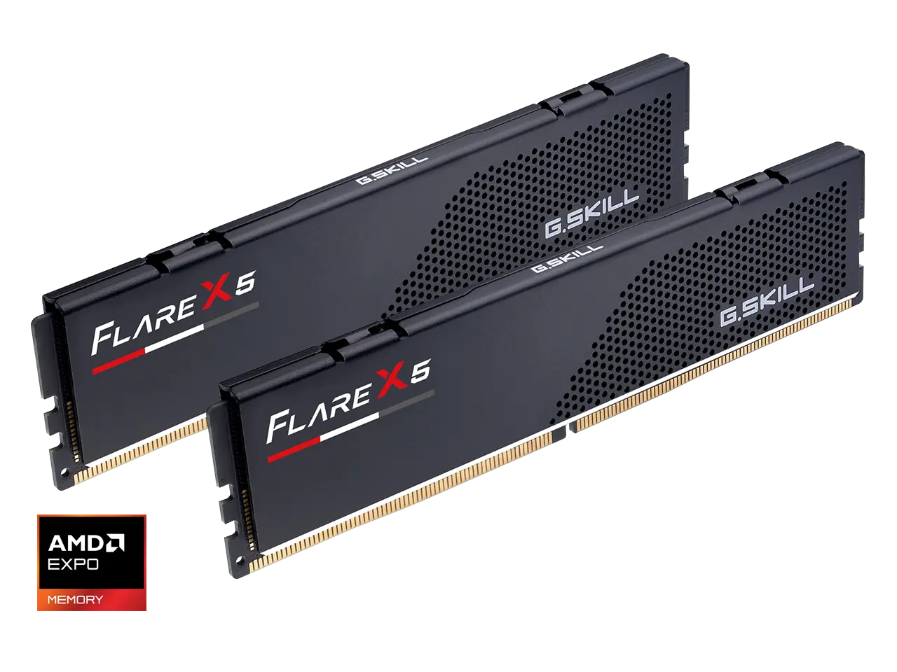 G.SKILL Flare X5 16GB (2 x 8GB) 288-Pin PC RAM DDR5 5600 (PC5 44800) Desktop Memory Model F5-5600J3636C8GH2-FX5