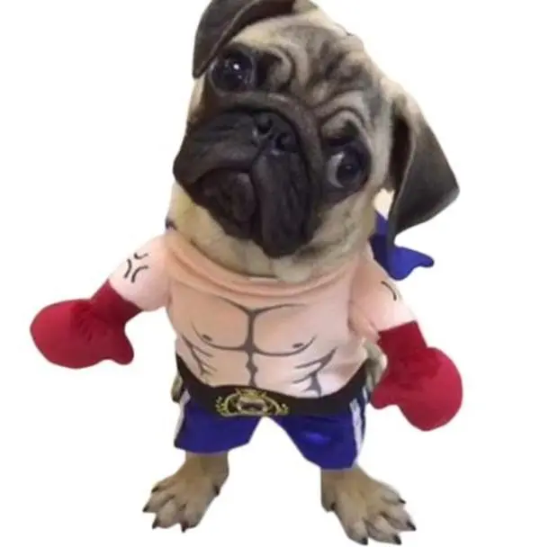 Cat Boxer Costume, Pet Halloween Party Outfit, Cute Feline Dress-Up Apparel for Cats