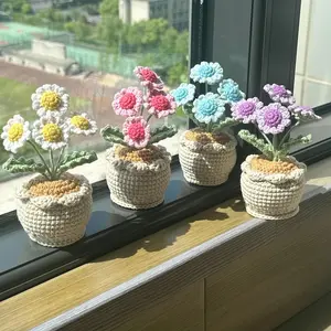 Handmade Crochet Daisy Flower Pot, Cute Gift for Her, Girlfriend, Friend, Colleague, Crochet Flower Bouquet