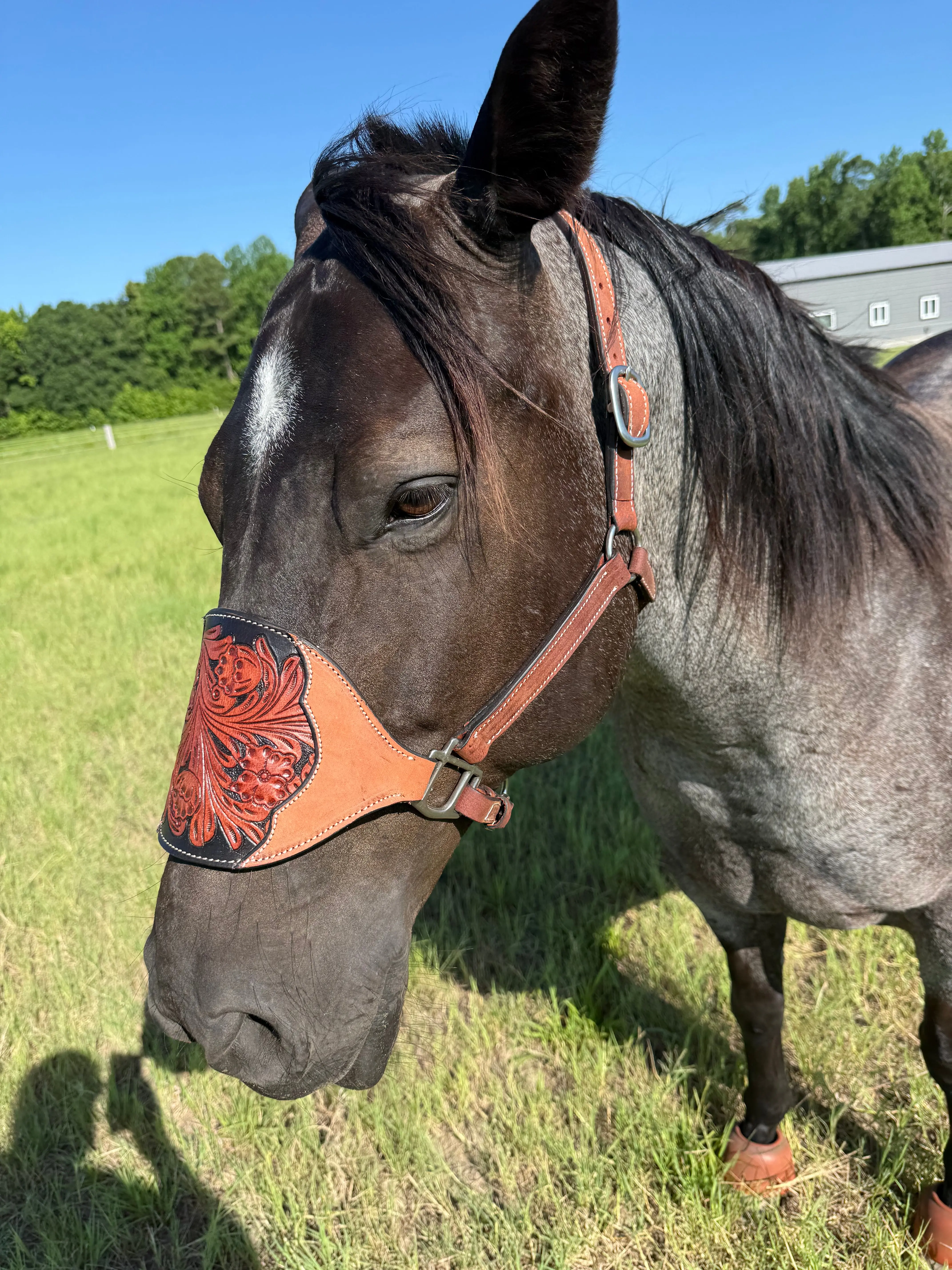 Cowboy Mafia Brown Tooled Leather Bronc Halter