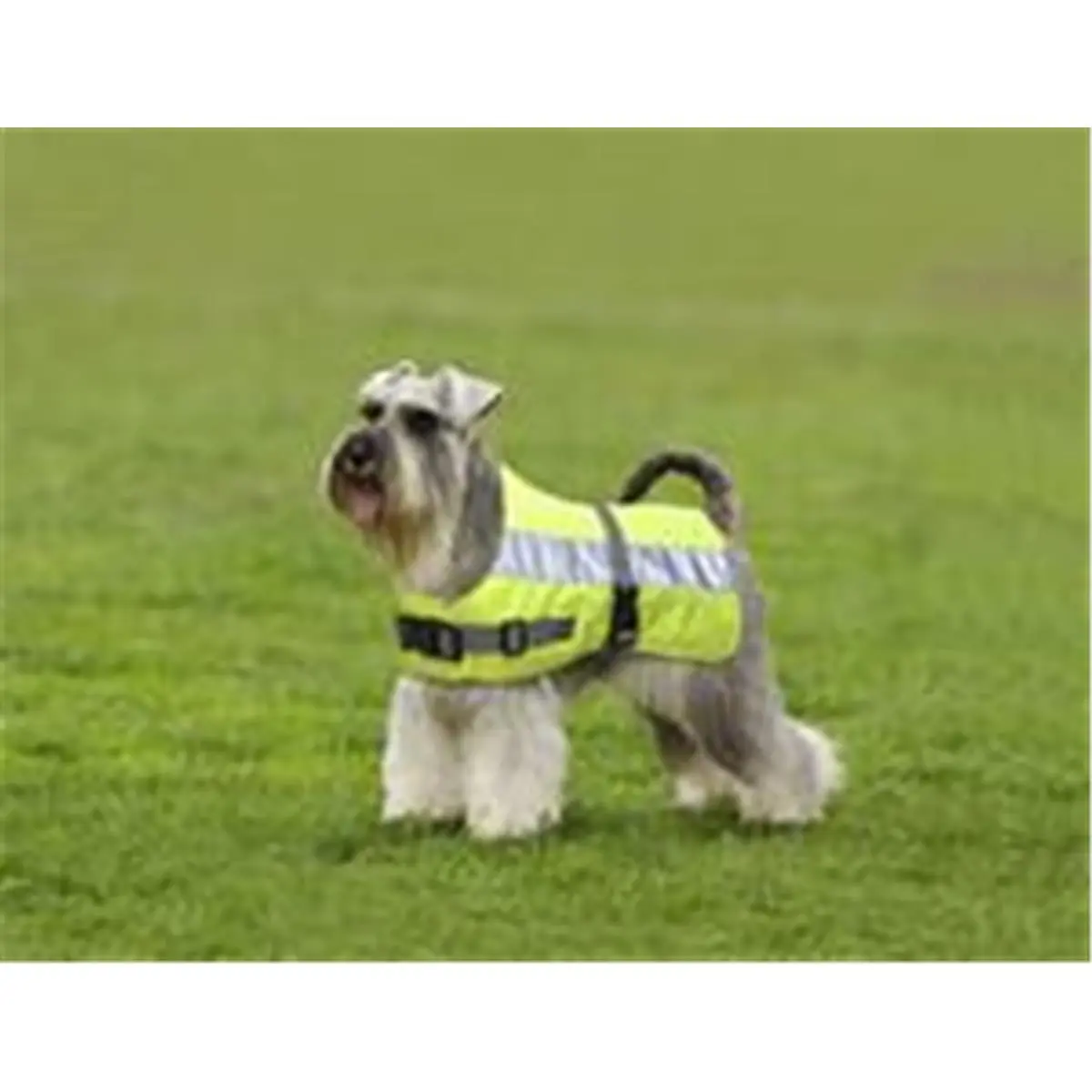 212 MAIN Flectalon High-Vis Reflective Dog Life Jacket (18 in) - Insulating, Warm, Ideal for Outdoor Kayaking Water Sports