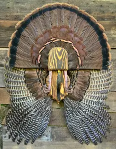 Fan and Wing Mount Plaque