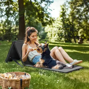 SUNJOY Portable Beach Mat with Adjustable Backrest for Adults (Set of 1) - Gray