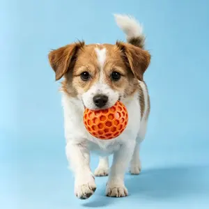 Durable Dog Chew Toy for Aggressive Chewers, Unbreakable Dog Ball, Noisy Squeak Ball, Fun Toy for Medium to Large Dogs