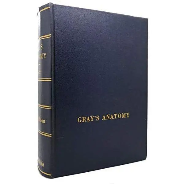 USED Book - GRAY'S ANATOMY by Spalding Gray (Hardcover)