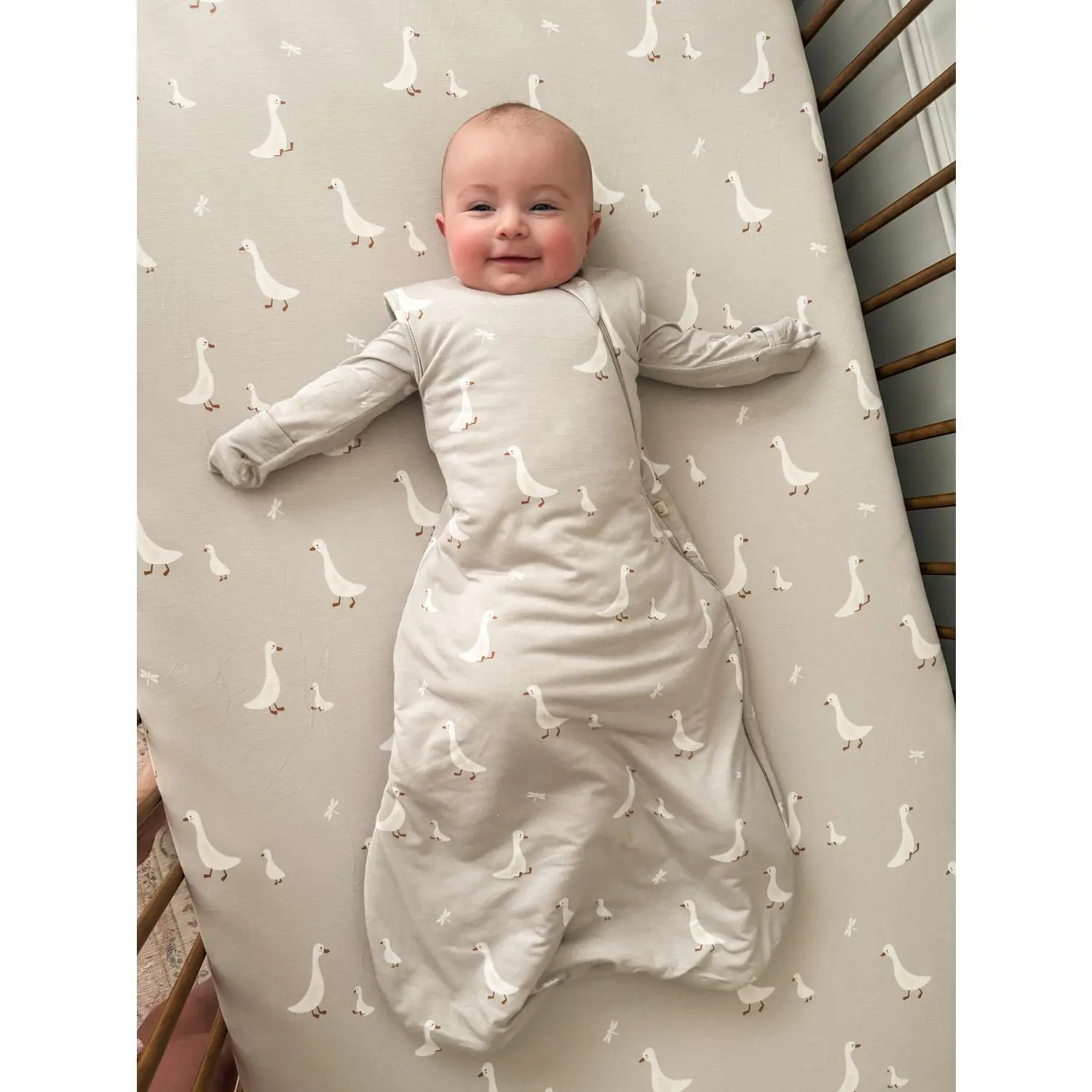 Transitional Swaddle Sleep Sack - 0.5 TOG
