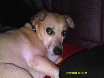 product review image from ️ 0