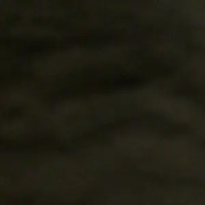 review image 5