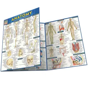 QuickStudy | Anatomy Laminated Study Guidee