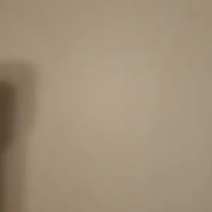 review image 10