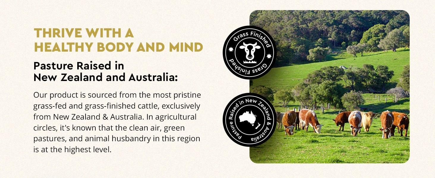 Ancestral Supplements MOFO-  180 Capsules Supports Energy Production Detoxification Digestion Immunity Full Body Wellness Non-GMO Freeze Dried Liver Health Supplement