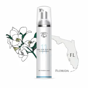 American Flower Cosmetics Foam Face Cleanser with Mock-Orange Flower, Aloe Vera, Damask Rose & Silk Proteins, Gentle Daily Hydrating Facial Wash, Lightweight Soothing Floral Cleansing Foam, 3.38 fl oz