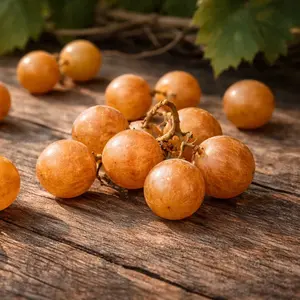 Carlos Muscadine Grape Vine – 2-Year Bare Root Grape Plants – Produces Sweet, Bronze Grapes – Vigorous & Self-Fertile Vine – From Hand Picked Nursery