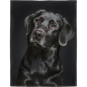 Black Labrador Blanket Elegant Labrador Dog Print Soft and Fluffy Sofa Blanket Sofa Bed 280g Fabric Weight Single-Sided Printing Provides Comfortable Temperature