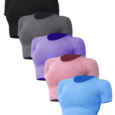 Women's Solid Round Neck Sports Tee, Quick Drying Breathable Crew Neck T-Shirt for Gym Workout Running, Ladies Sportswear for Spring & Fall, Gym Tops, Athletic Tops, Fitness Sport Top, Gym Tees, Fitness Clothes Tops