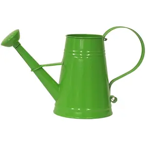 HIT  1 gal Enameled Galvanized Steel Watering Can with Removable Rosette, Apple Green