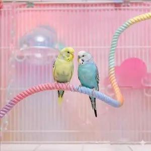1pc Colorful Ombre Flexible Dual Headed Metal Screw Top Climbing Rope Parrot Stand Bird Cage Perch Toy, Suitable For All Seasons
