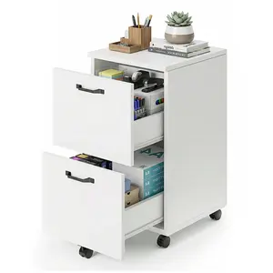Double-drawer filing cabinet, with an under-table printer stand and lockable wheels, designed for storing A4-sized and standard-sized documents.