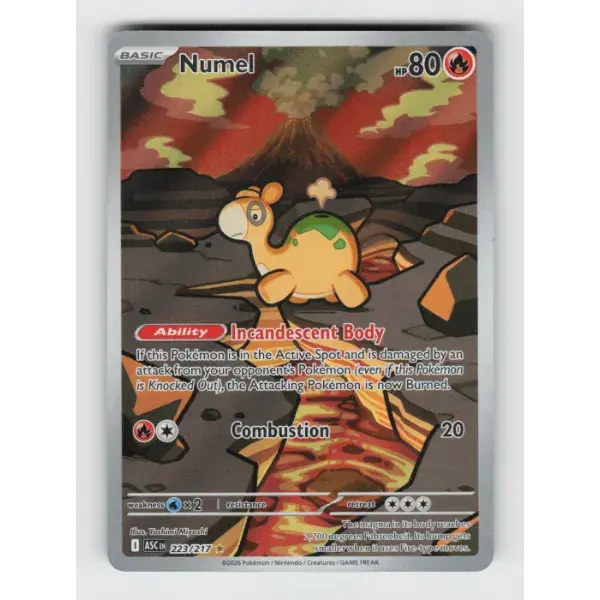 NUMEL - 223/217 (, ILLUSTRATION RARE) 