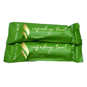 Pocket-Size Disposable Cooling Body Wipes with Aloe Vera | Alcohol-Free Instant Freshness for Gym, Travel & Daily Use