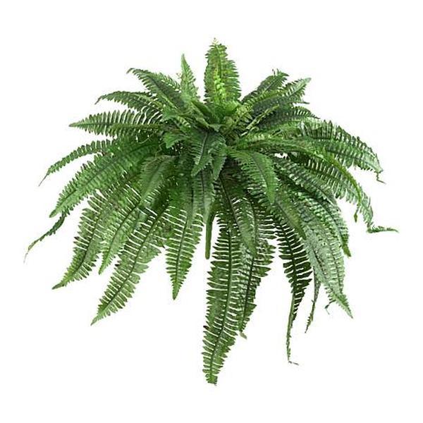 Nearly Natural 48" Boston Fern Set of 2