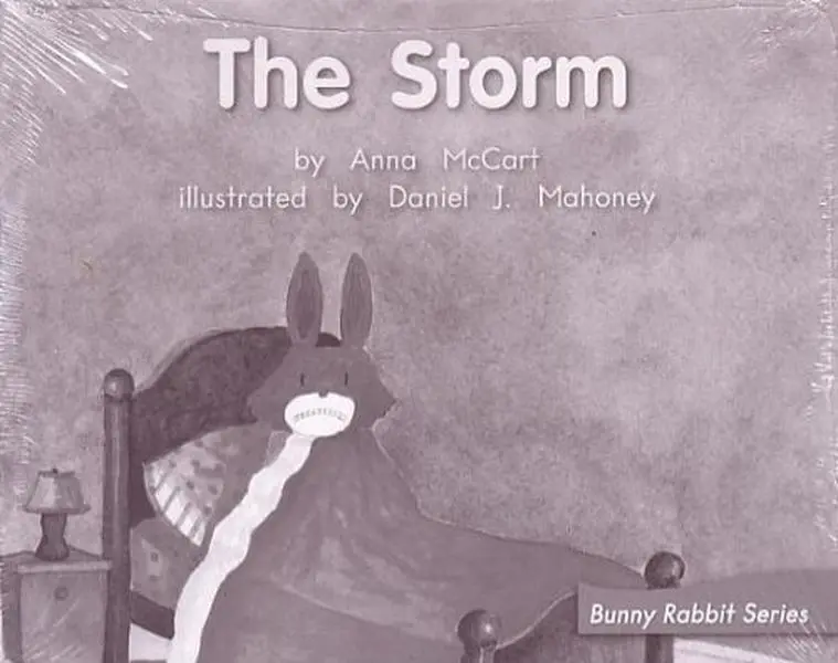 USED-The Storm; Leveled Literacy Intervention, My Take-Home Books (Book 74, Level E, Fiction) Green System, Grade 1 (Bunny Rabbit Series) by Anna McCart (Paperback)