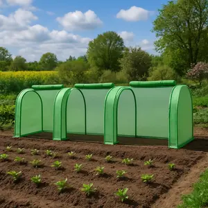 Mini Greenhouse, PE Cover with Roll-up Zipper Door, for Indoor Outdoor or Garden Plant Growing, Green