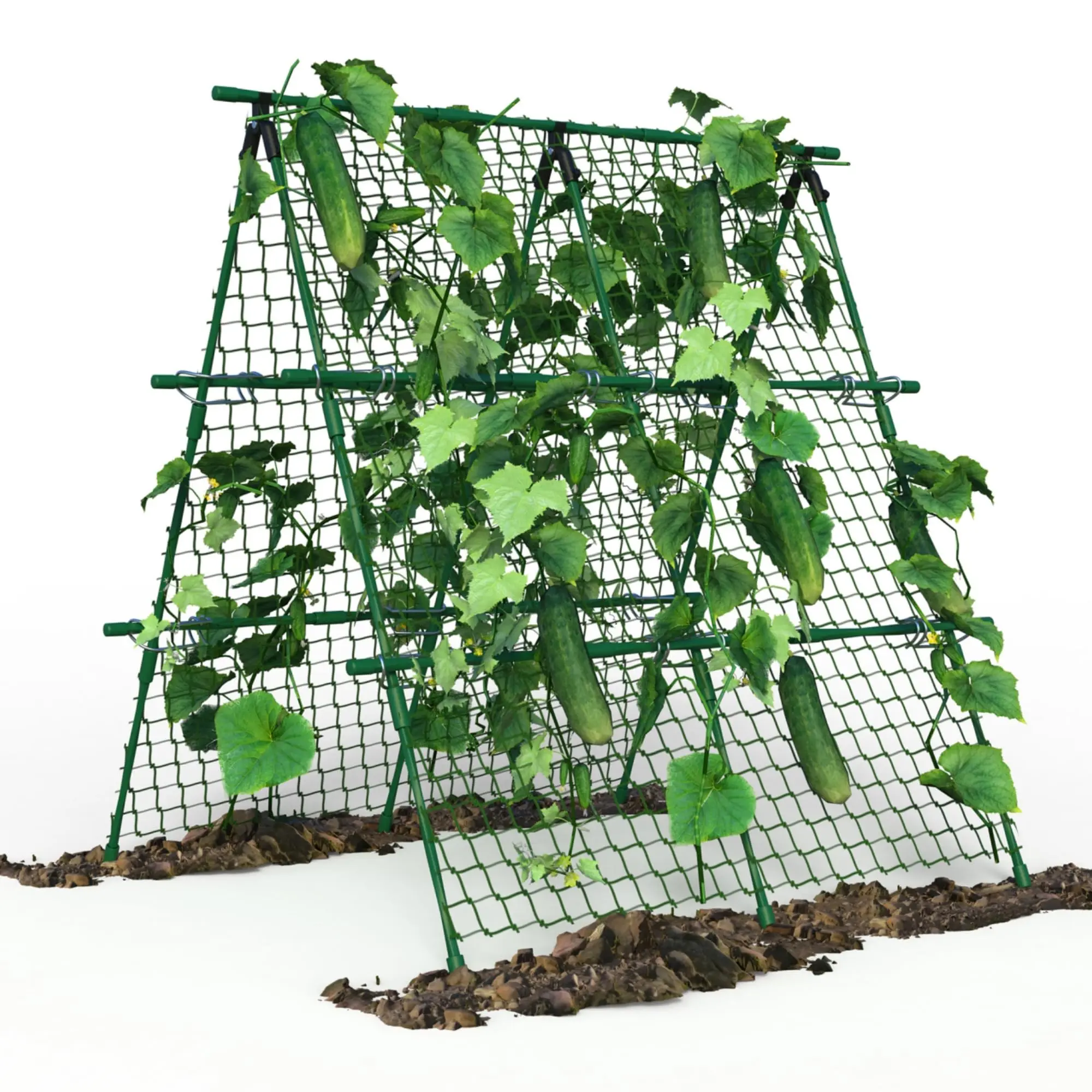 Watch Cucumbers Climb! 4x4ft A-Frame Cucumber Trellis w/ netting—sturdy green metal support for tomatoes, peas & beans, perfect for raised beds