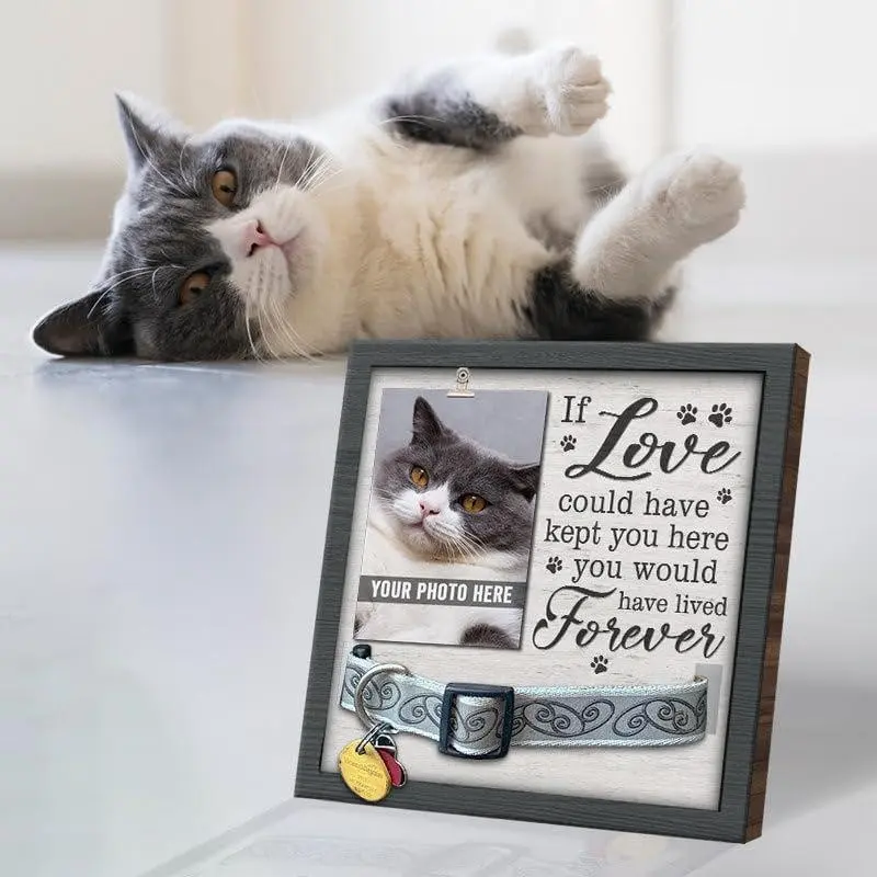 Wooden Dog Memorial Frame with Pet Tag Holder, Pendant for Pet Remembrance, Pet Care Accessories, Wooden Material, Ideal Gift