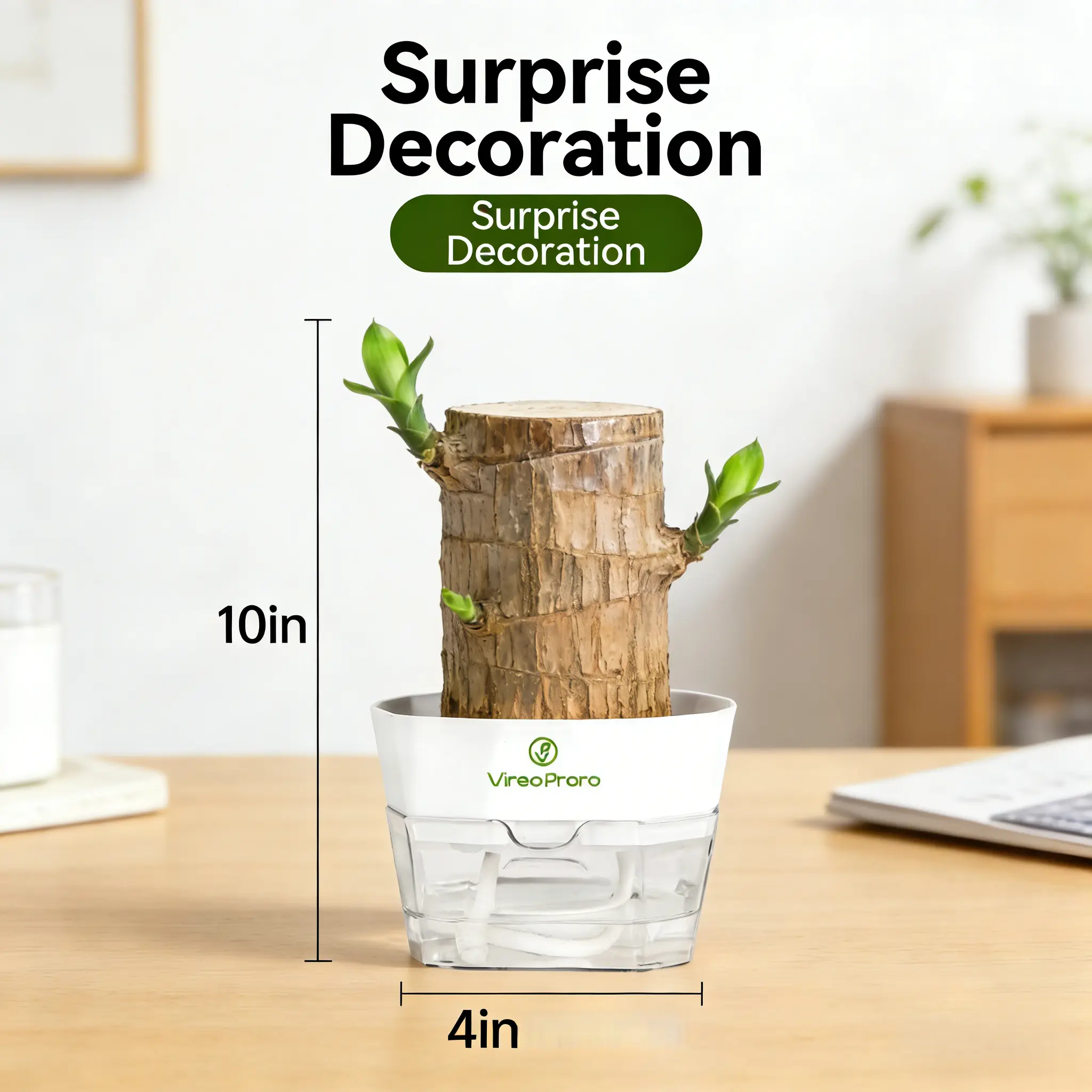 Brazilian Lucky Wood Hydroponic Flower Pot - Luck & Prosperity Symbol, Easy Indoor Growth, Included Hydroponic Setup, Humidity-Boosting, Stress-Reducing Garden Planter, Hydroponic Flower Pots