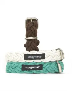 Braided Fisherman Collar and Leash (sold separately)