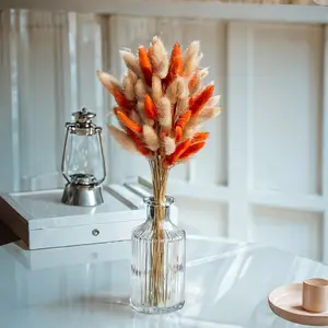 Natural Orange Bunny Tail Grass - 240 Fluffy Dried Lagurus Stems, Home Decor Supplies for DIY Crafts, Wedding Bouquets outdoorfun