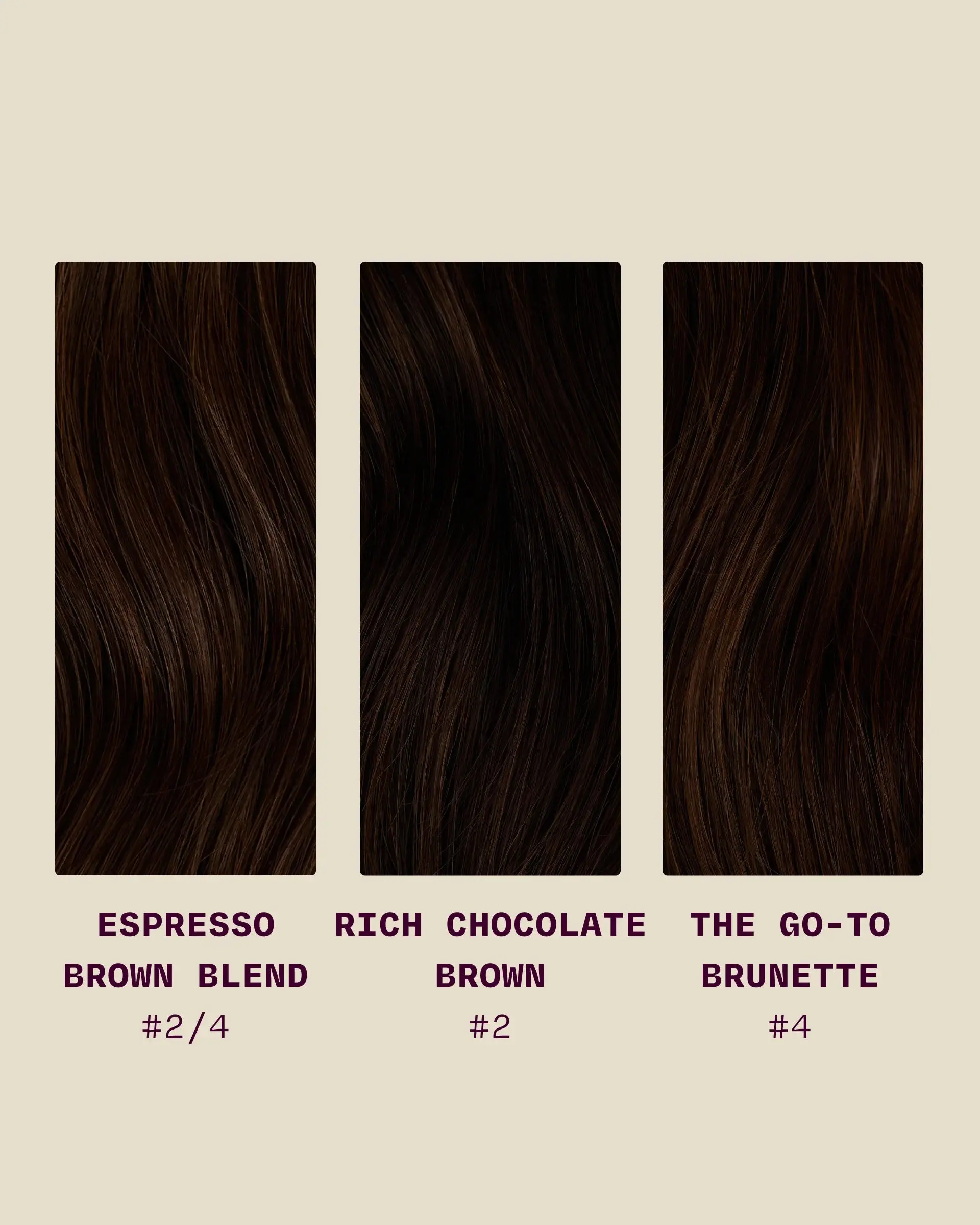 Brunette Swatch Bundle