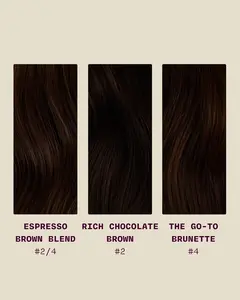 Brunette Swatch Bundle