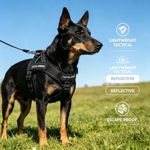 Dog Harness and Leash Set Anti Escape Outdoor Walking Vest for Large Dogs Home Outdoor Use