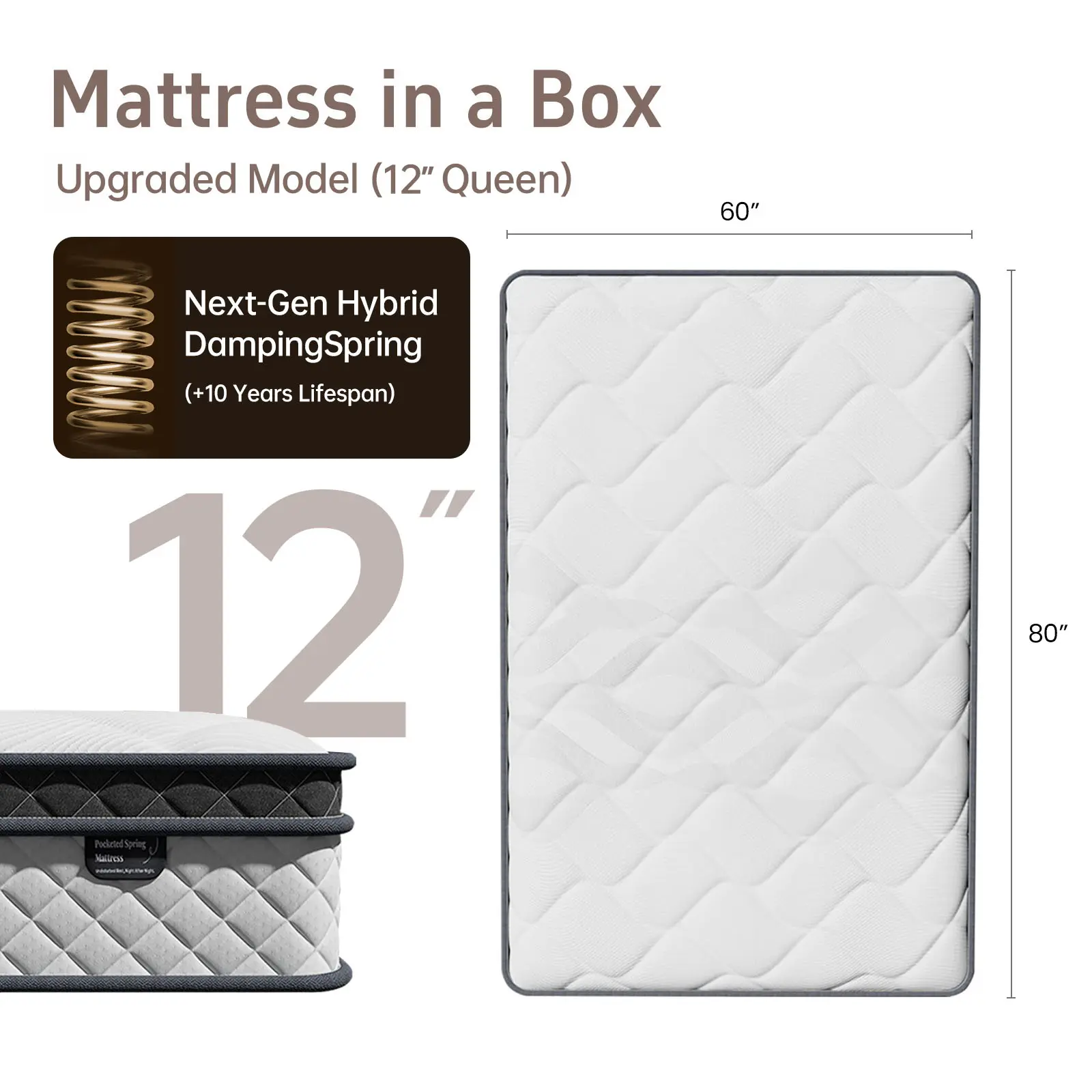 Upgraded 12“ Queen